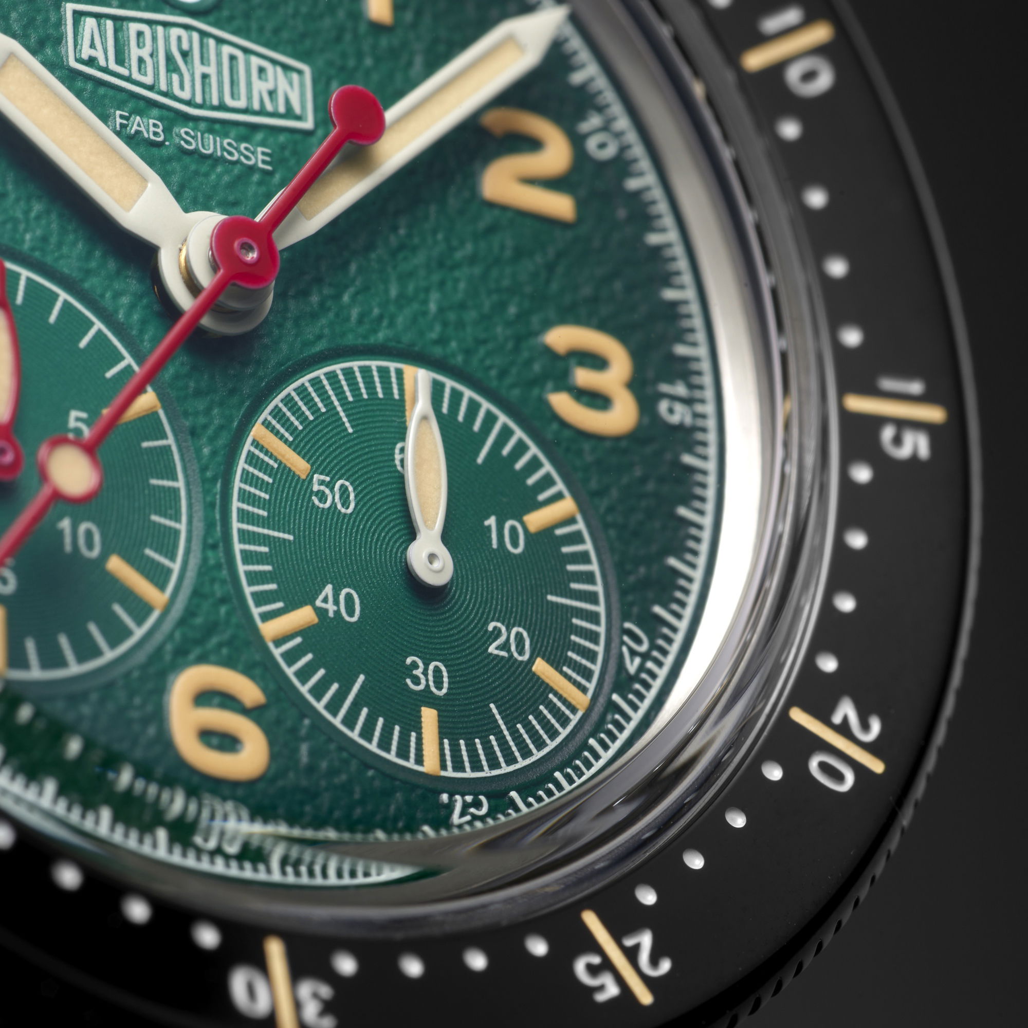 Albishorn Type 10 Sihlwald - View 3