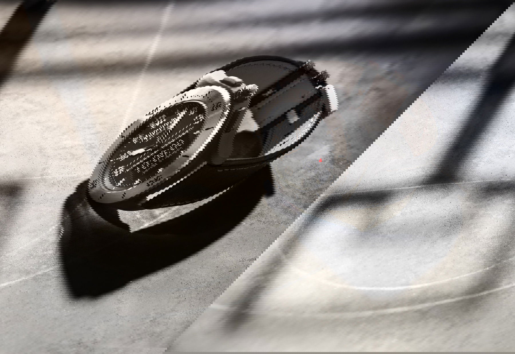Alpina AlpinerX Alive - View 3