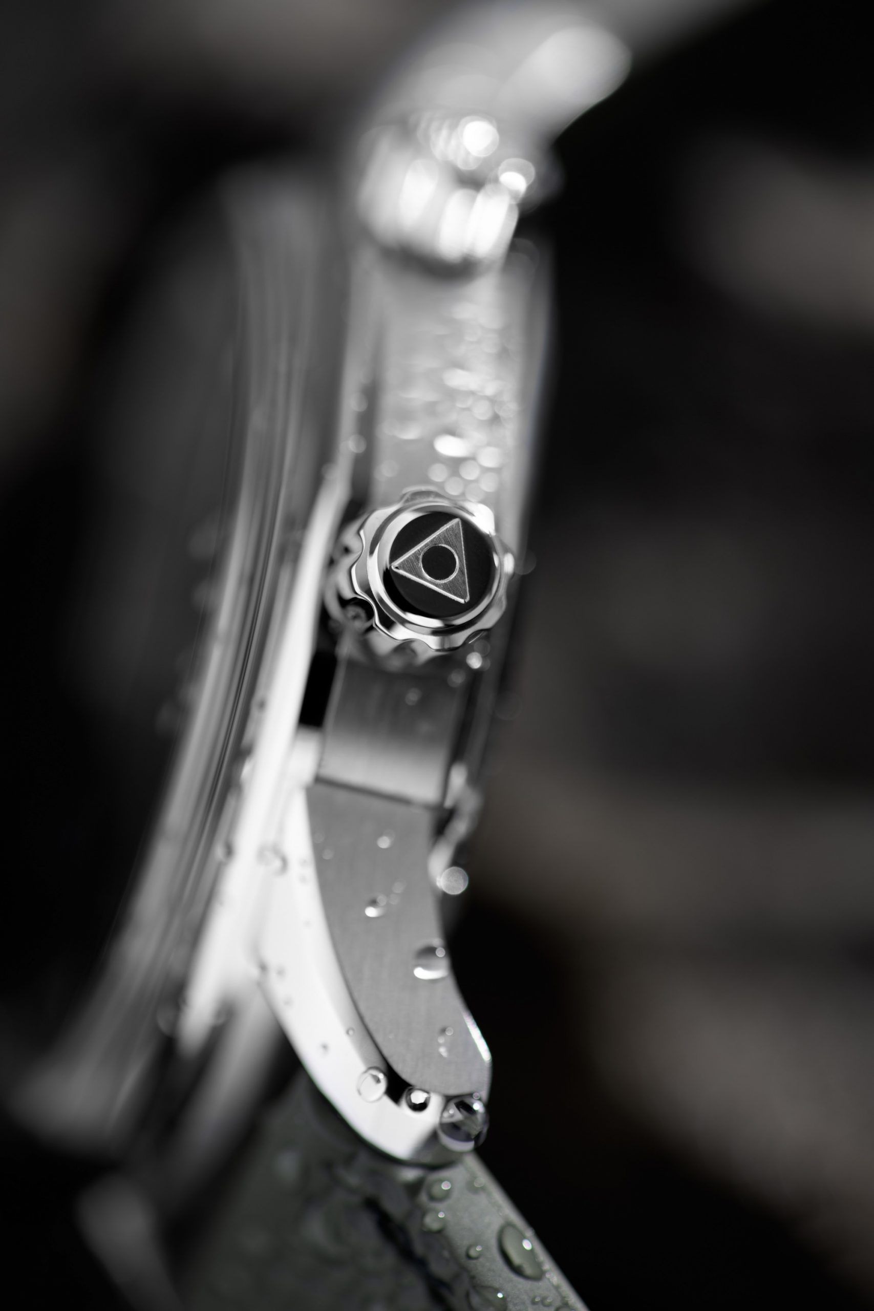 Alpina Seastrong Diver 300 Heritage Green - View 3