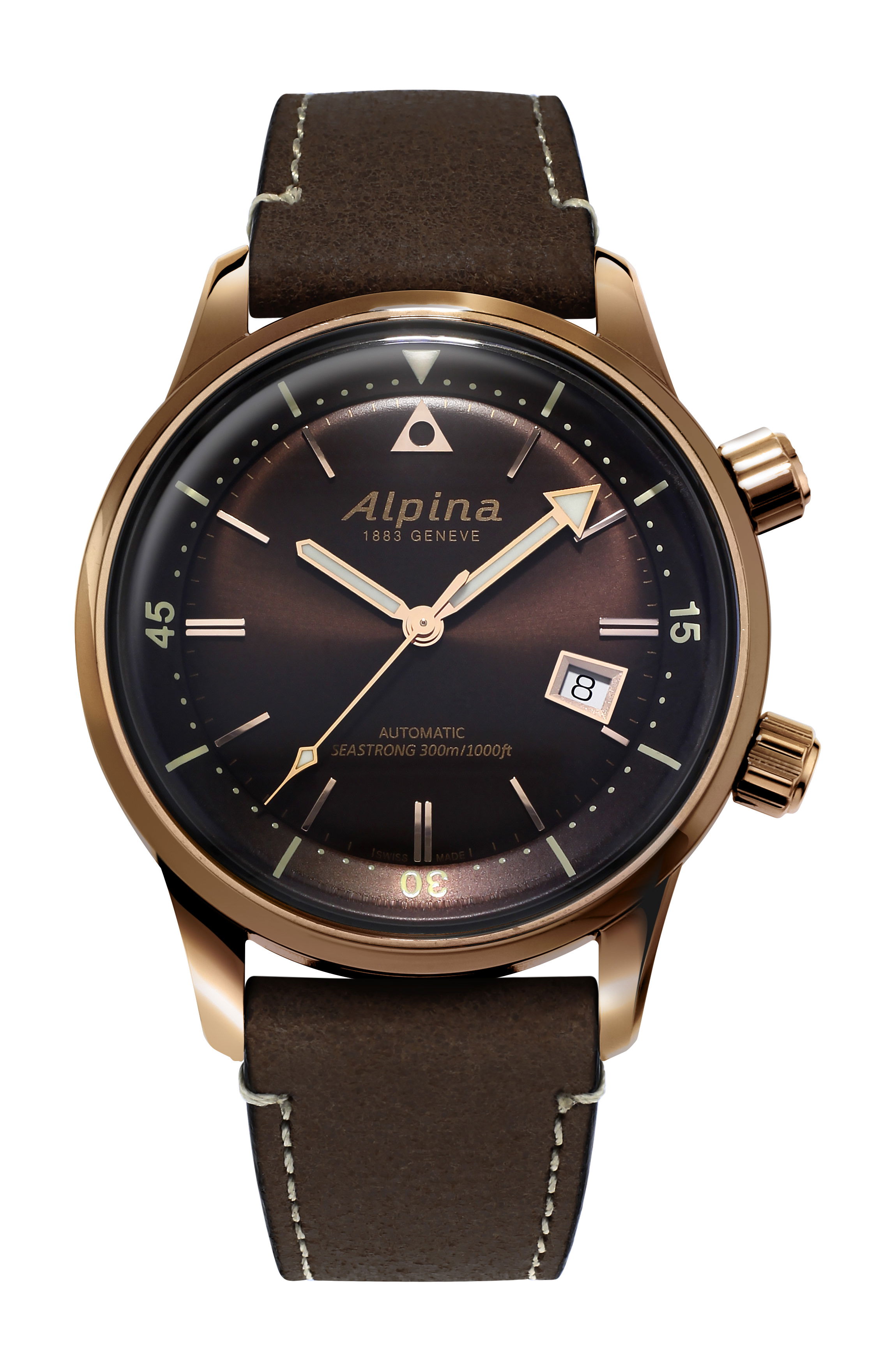 Alpina Seastrong Diver 300 Heritage watch