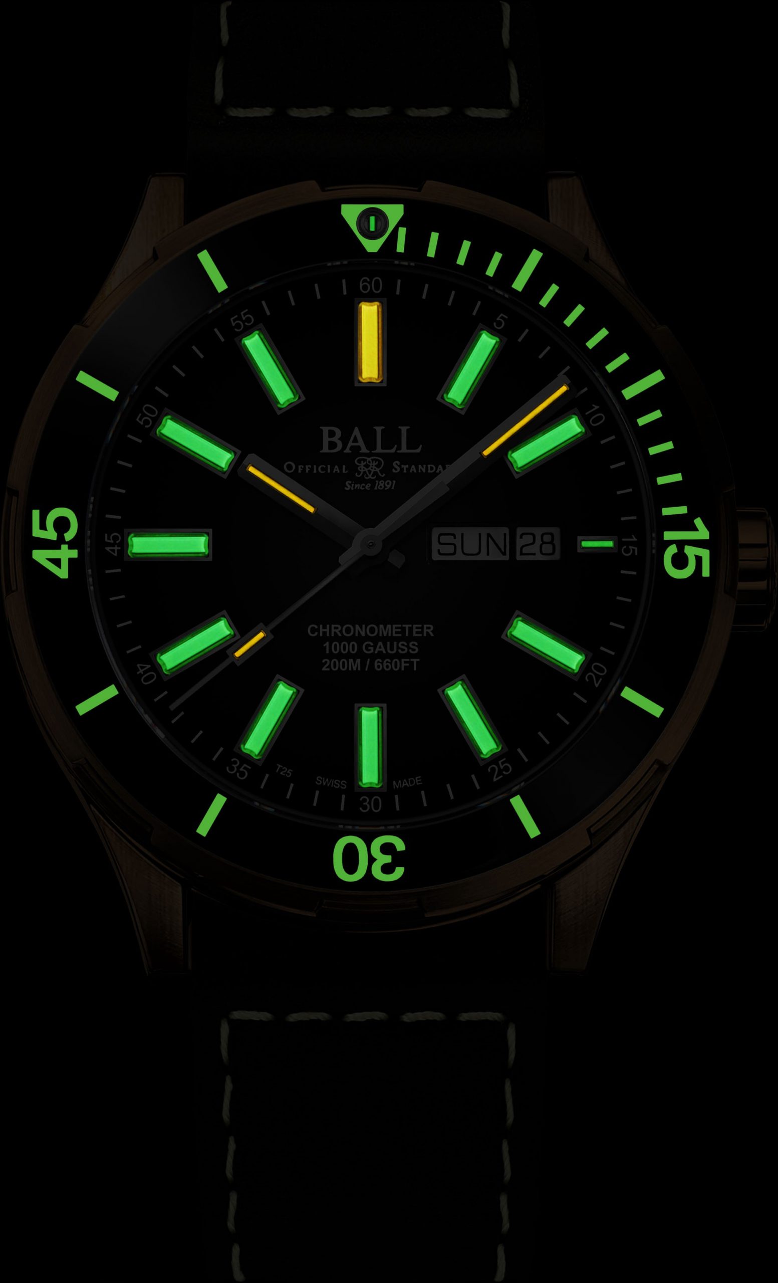BALL Roadmaster Marvelight Bronze - View 2