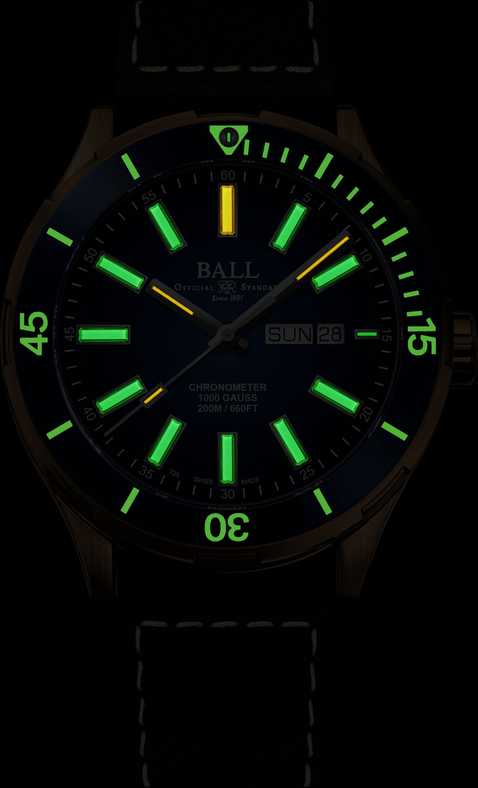 BALL Roadmaster Marvelight Bronze - View 2