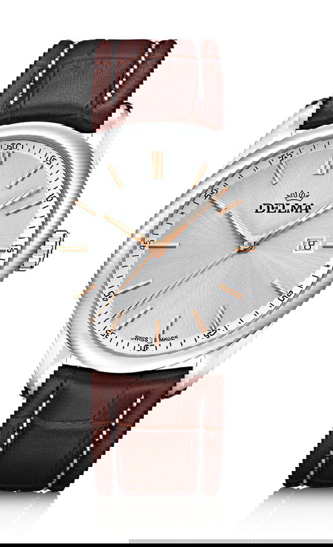 Delma Cambridge watch
