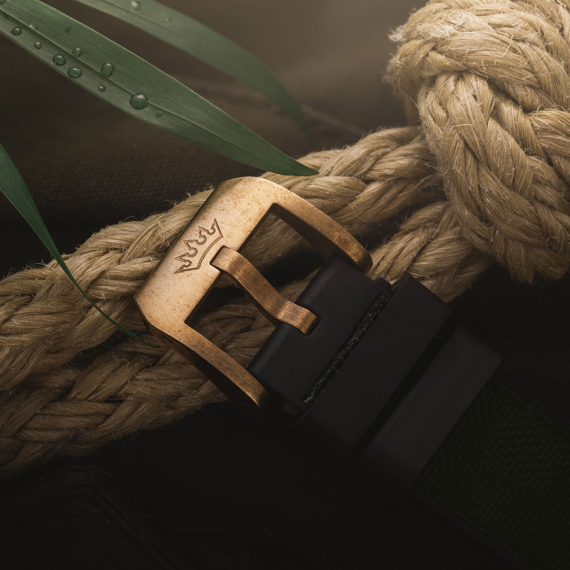 Delma Cayman Bronze - View 3