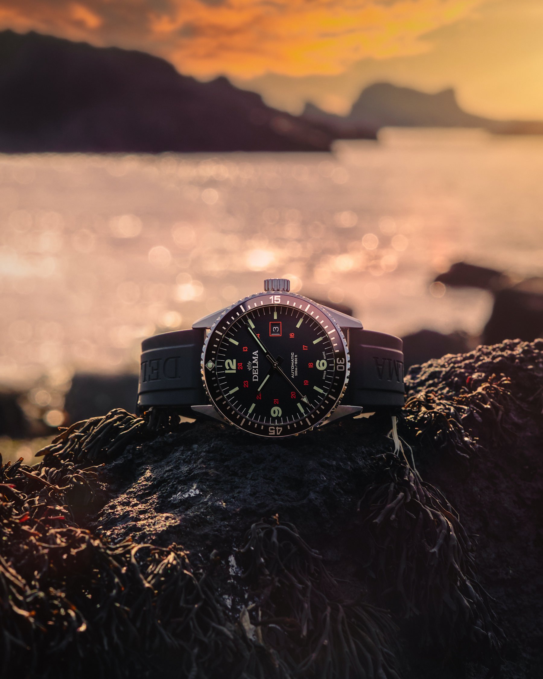 Delma Cayman Field Automatic - View 2