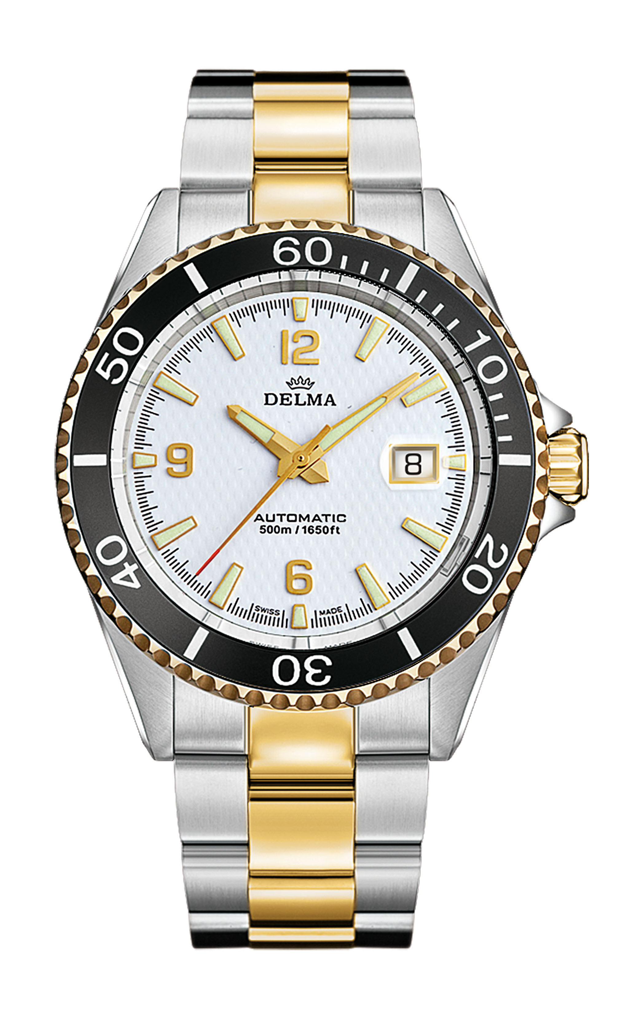 Delma Santiago Automatic watch