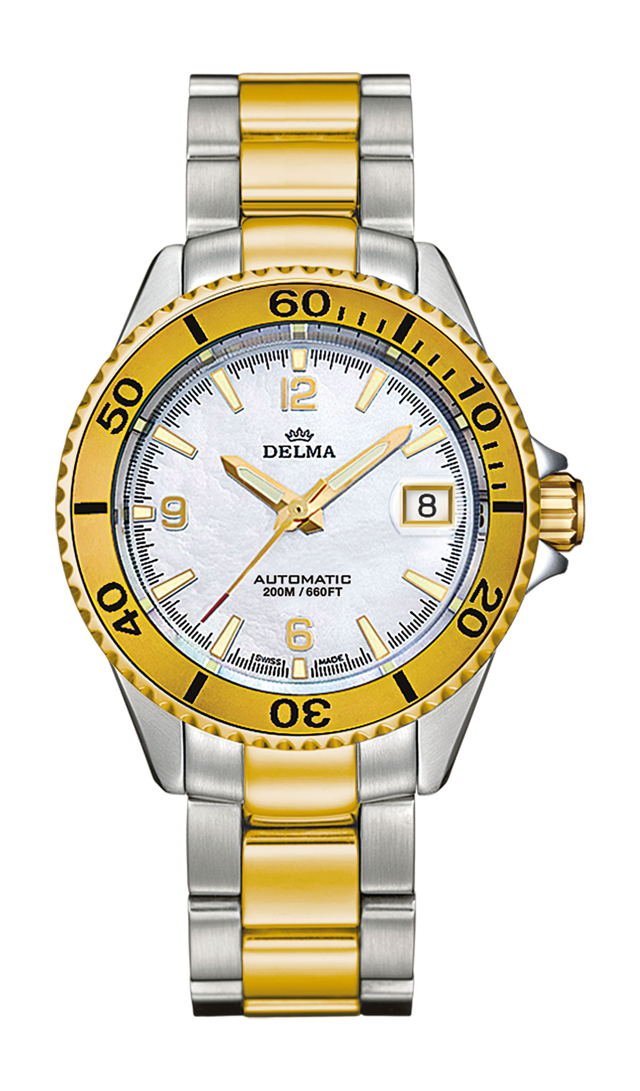Delma Santiago Ladies Automatic watch