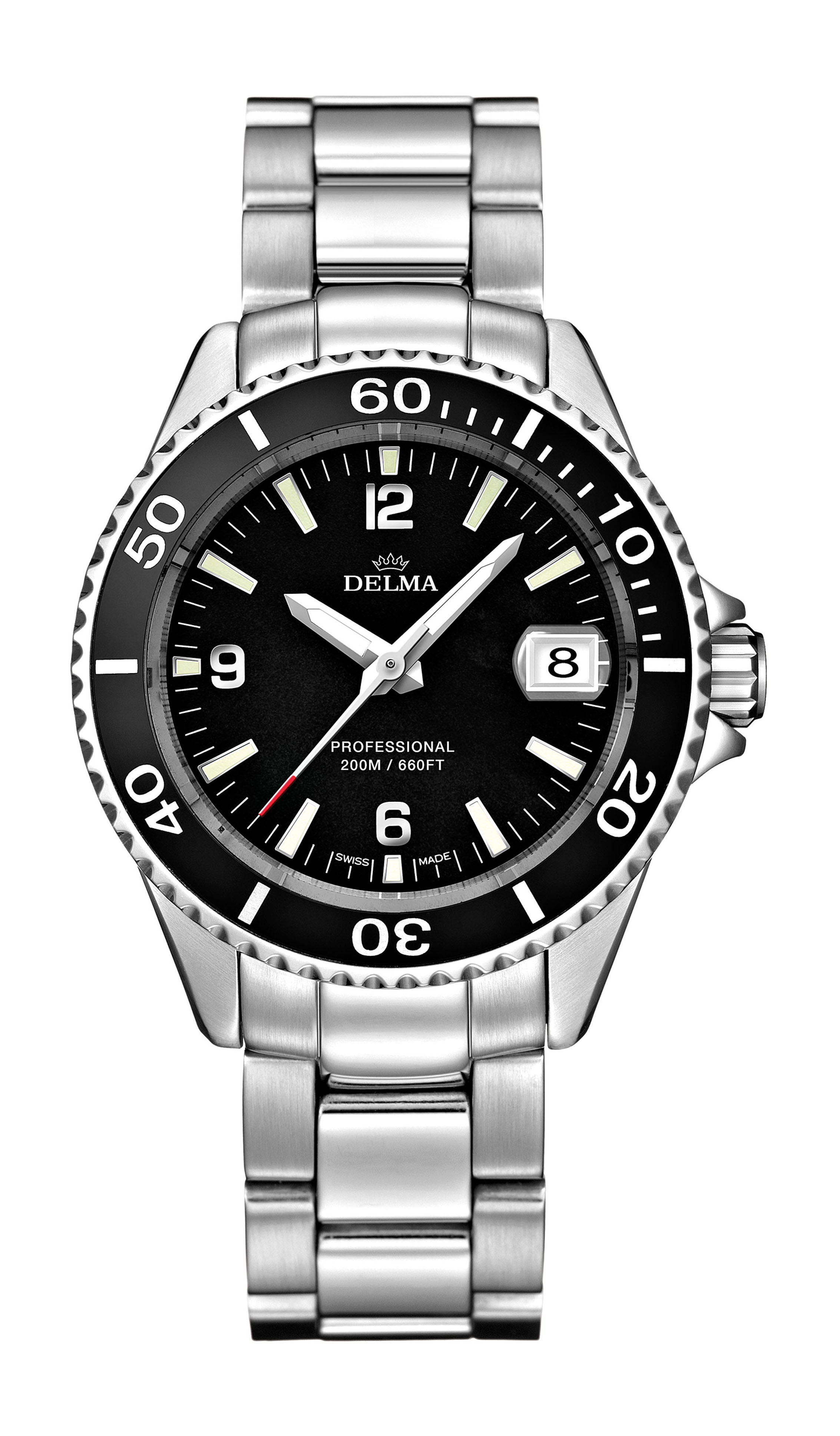 Delma Santiago Ladies Quartz watch
