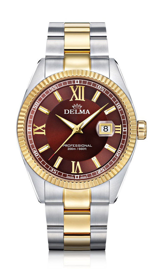 Delma Sea Star watch