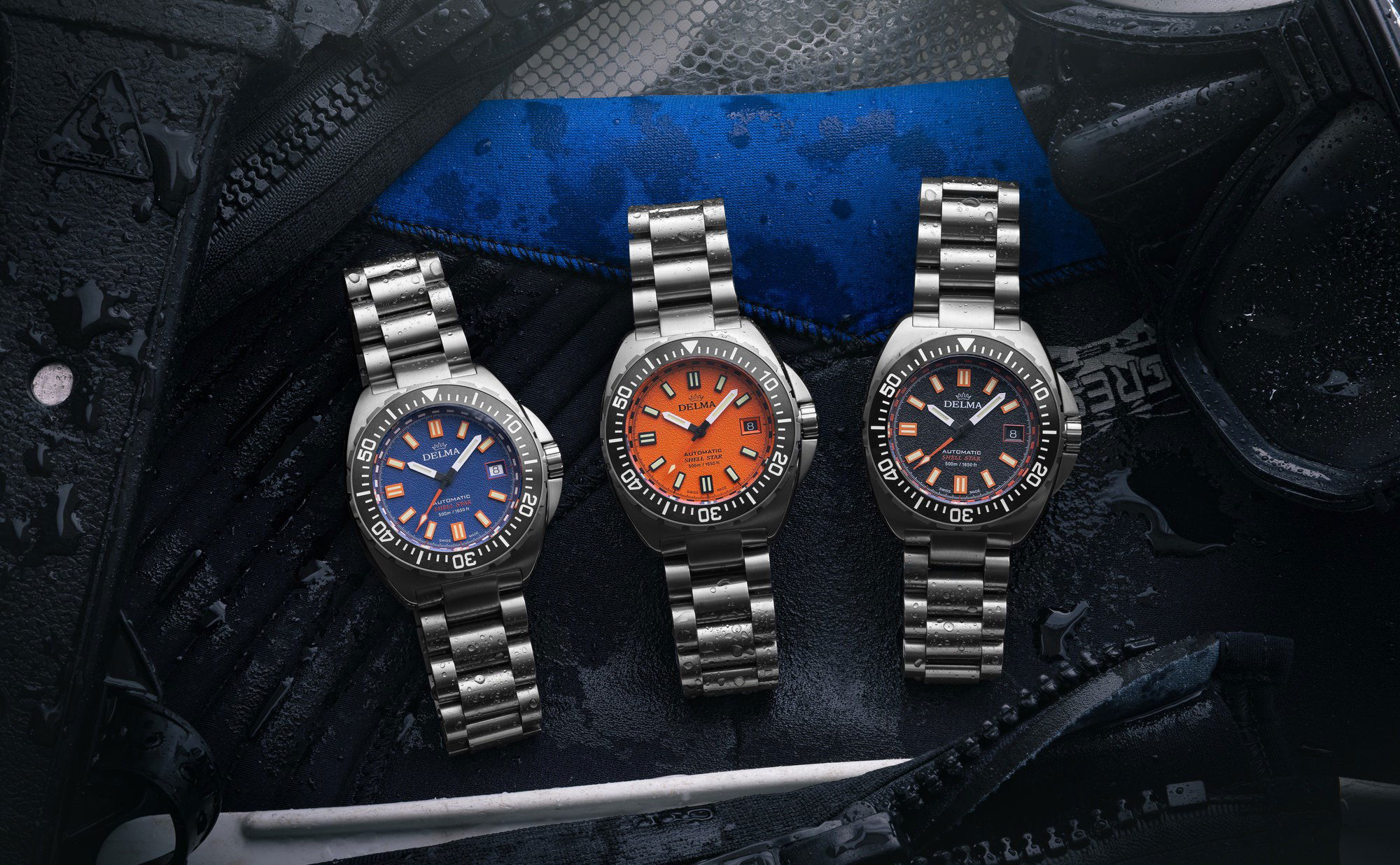 Delma Shell Star Titanium - View 2