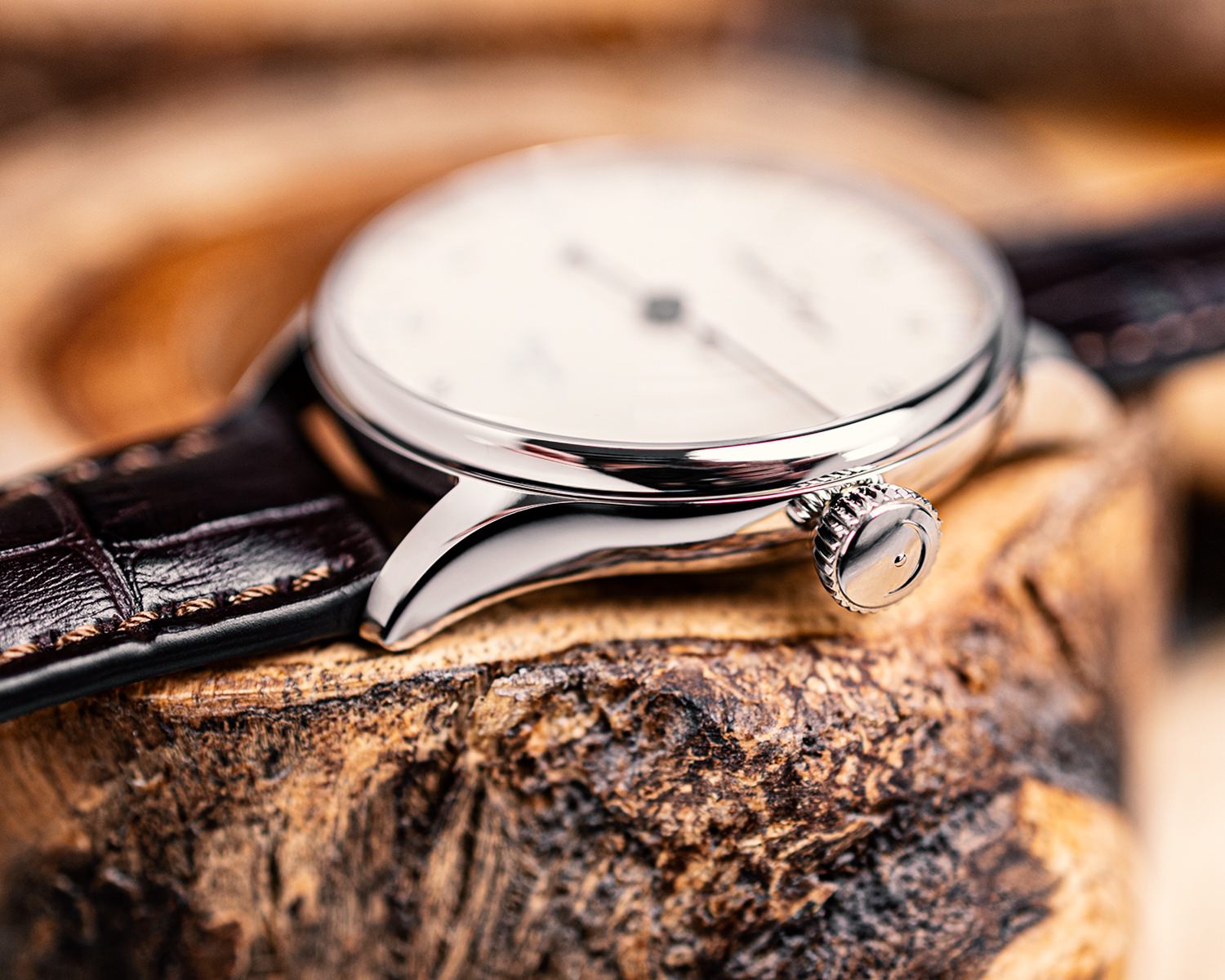 MeisterSinger Pangea 365 - View 2