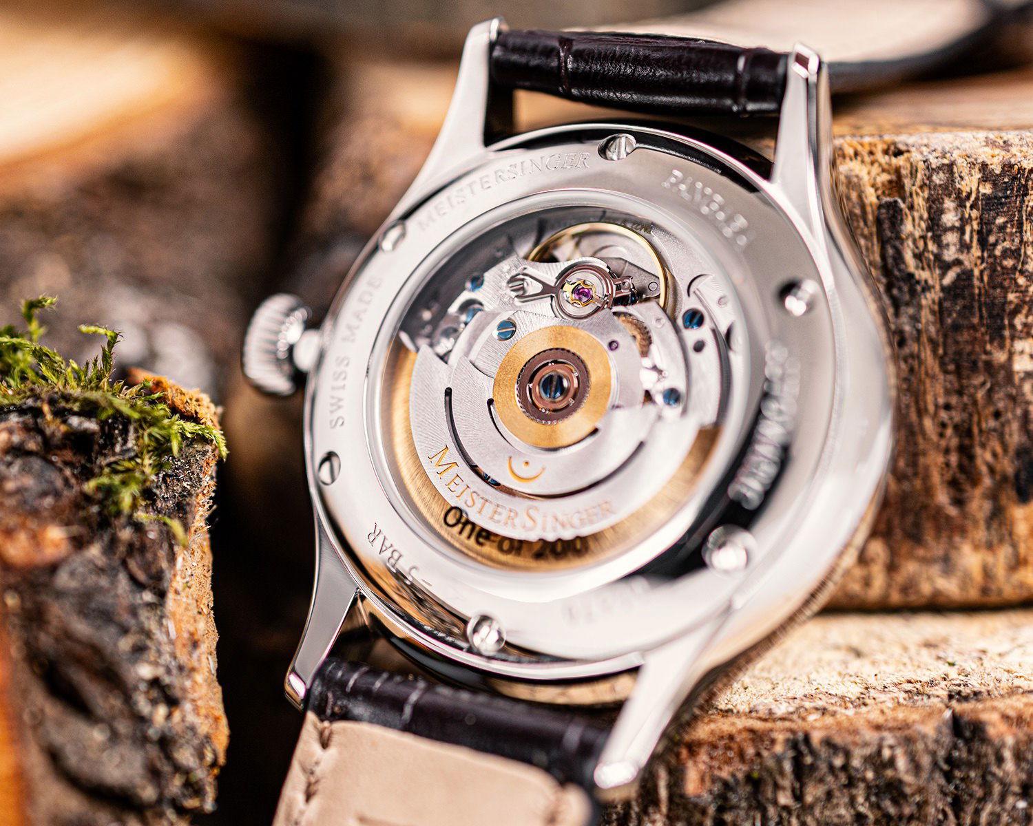 MeisterSinger Pangea 365 - View 3