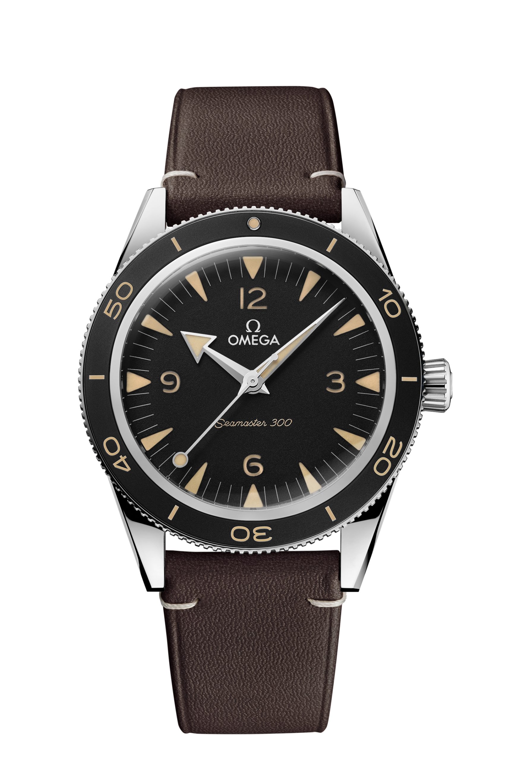 Omega Seamaster watch