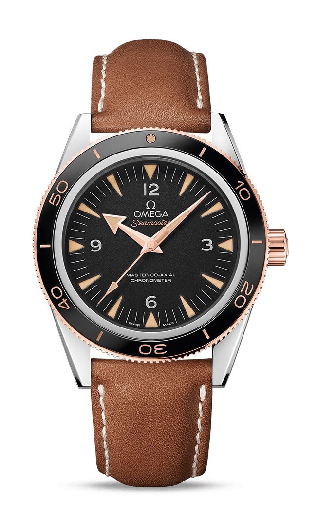 Omega Seamaster watch