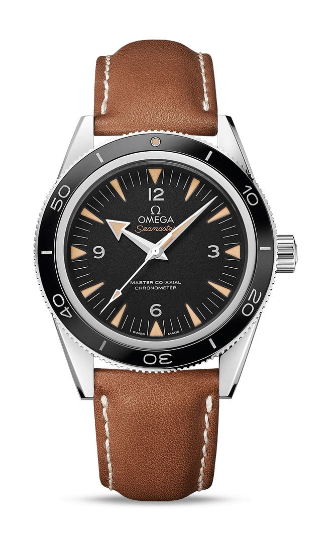 Omega Seamaster watch