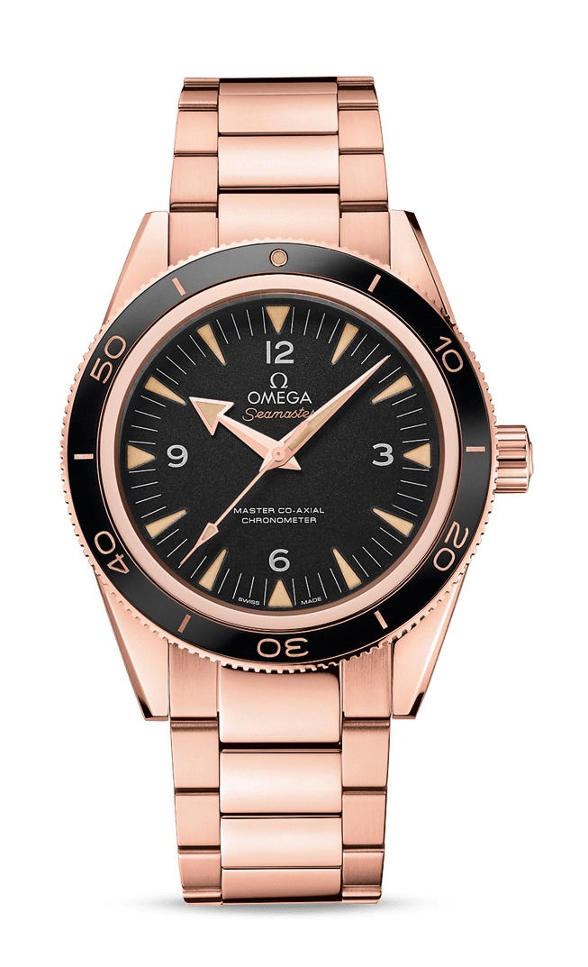 Omega Seamaster watch