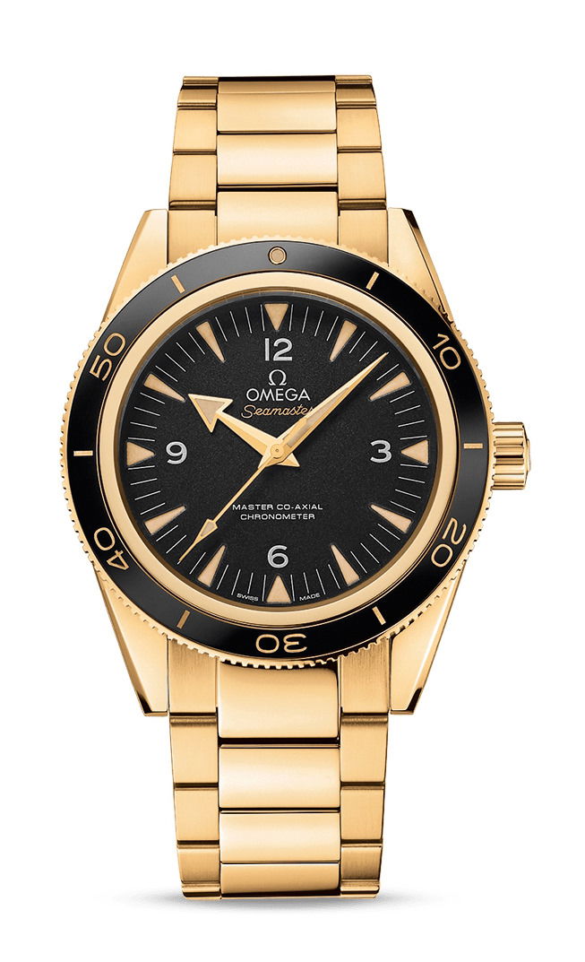 Omega Seamaster watch