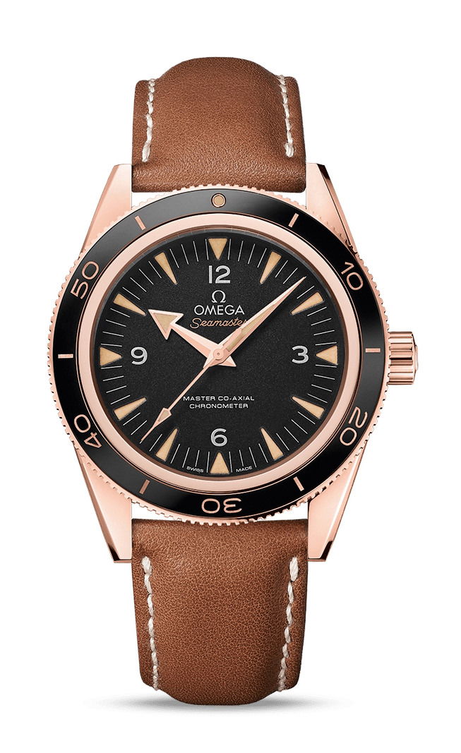 Omega Seamaster watch