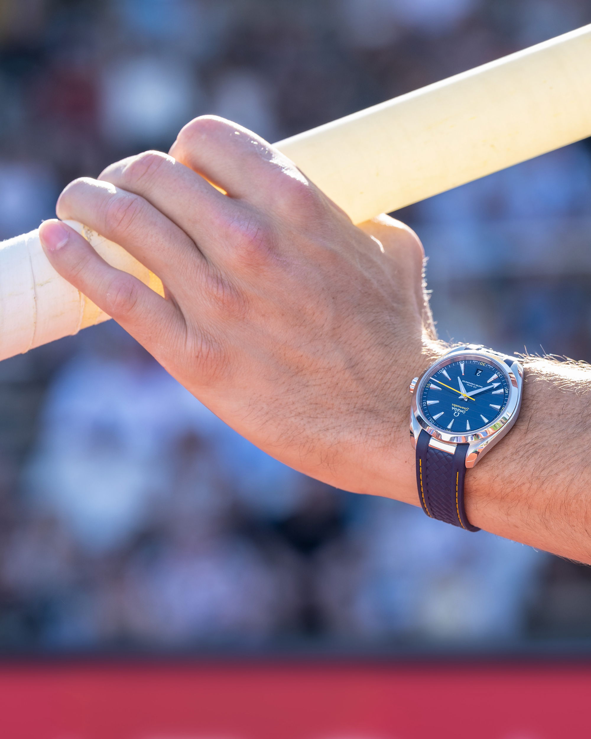 Omega Seamaster - View 3