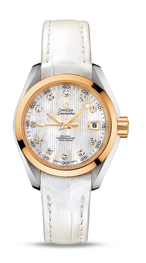 Omega Seamaster watch