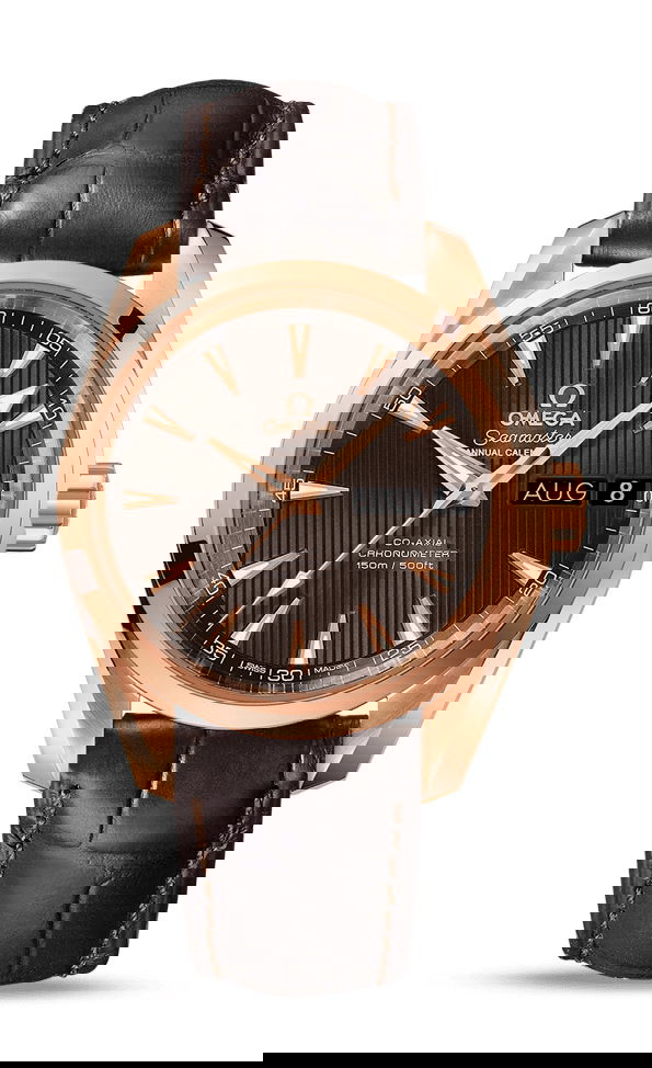 Omega Seamaster watch