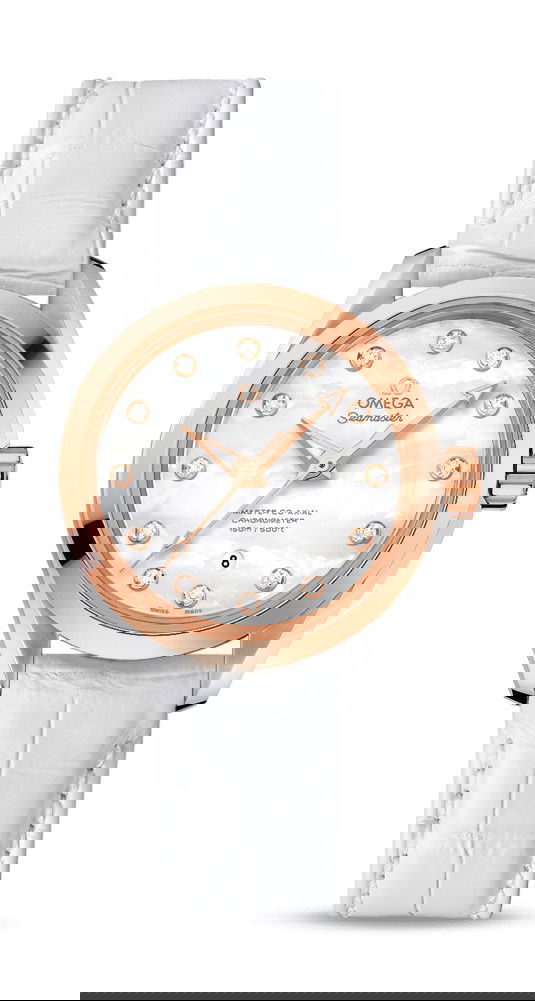 Omega Seamaster watch