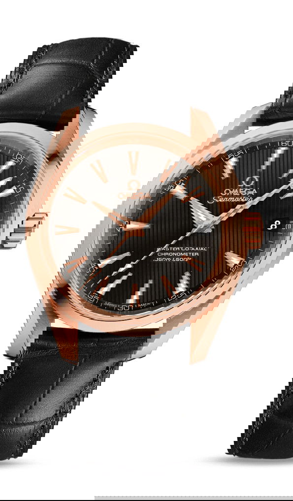 Omega Seamaster watch