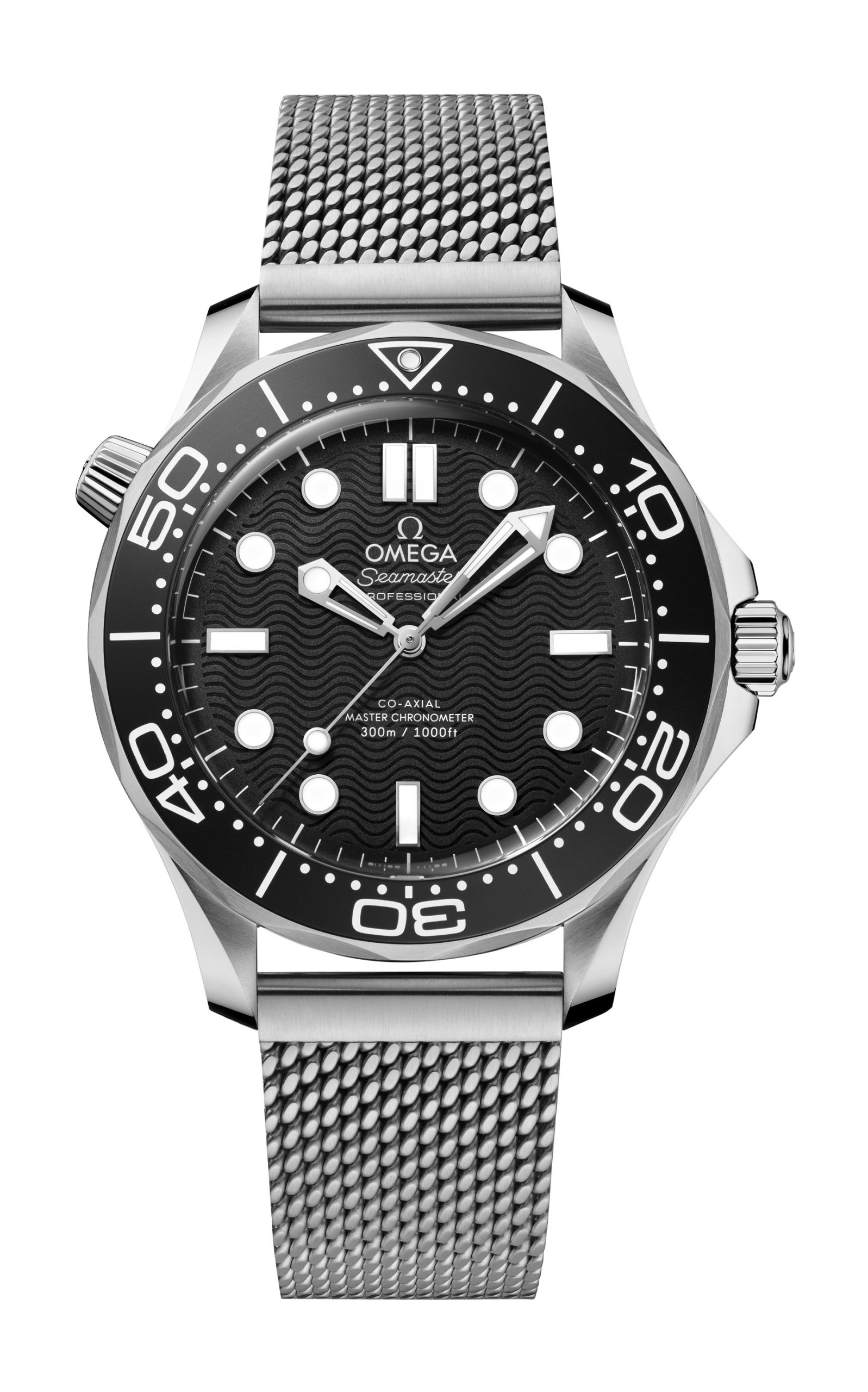 Omega Seamaster watch