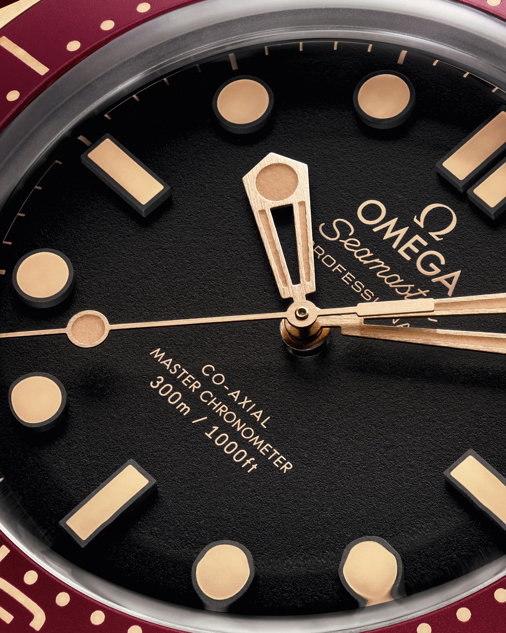 Omega Seamaster - View 2