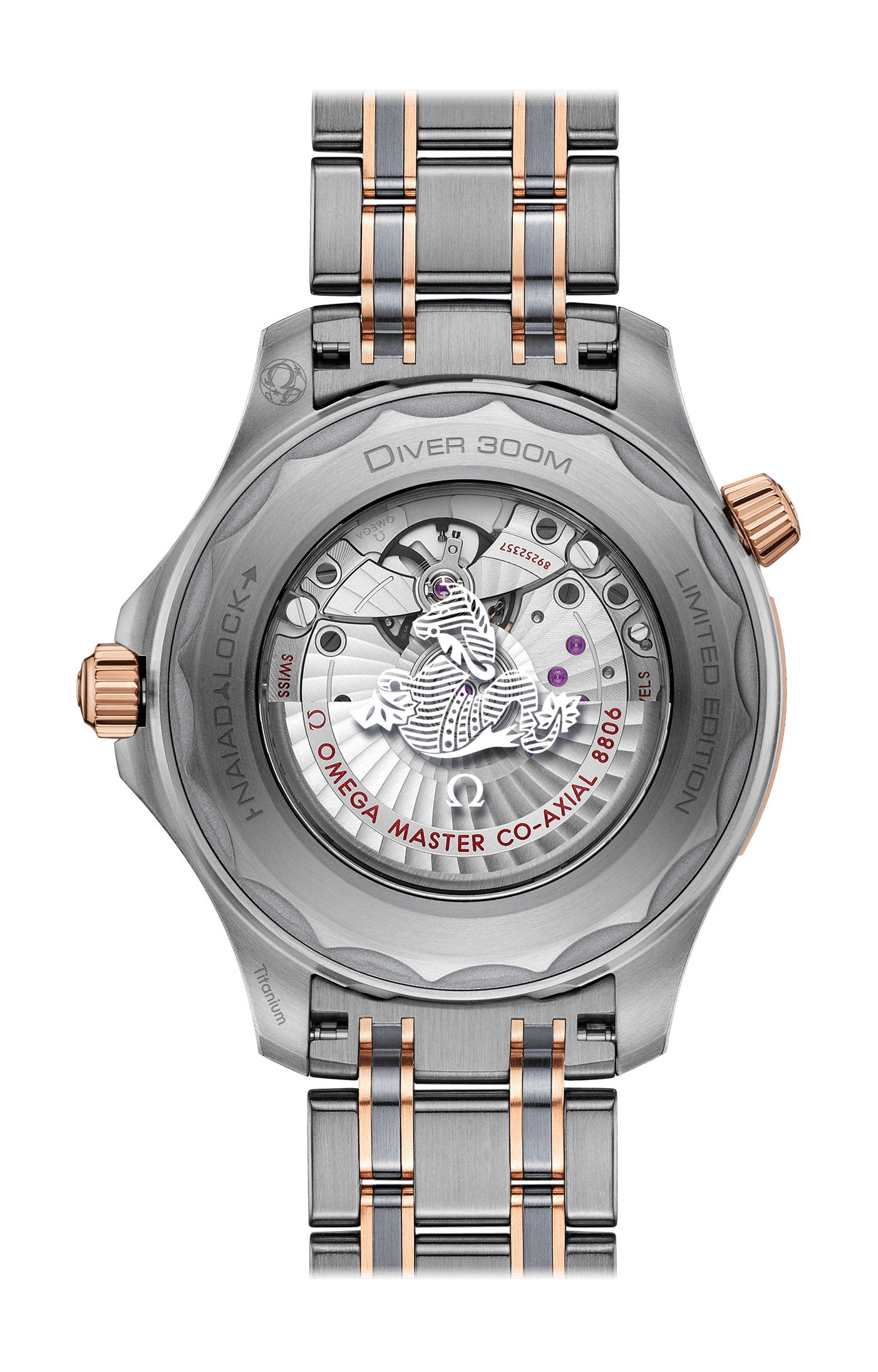 Omega Seamaster - View 2