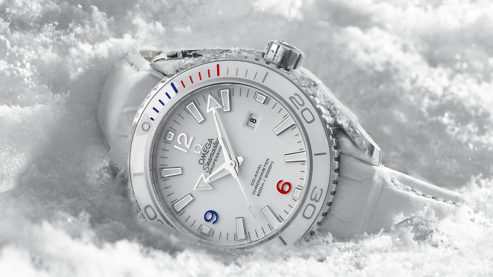 Omega Seamaster - View 2