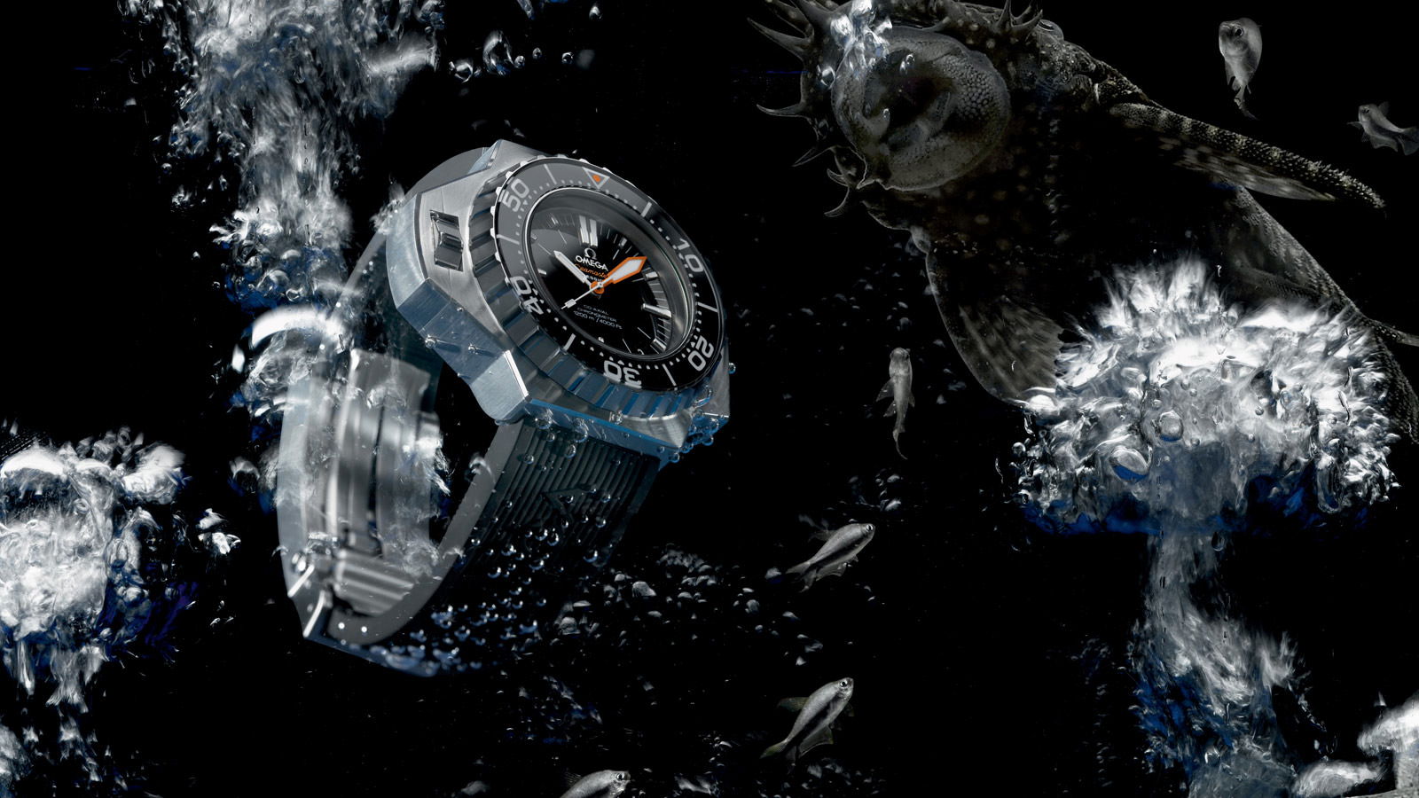 Omega Seamaster - View 2