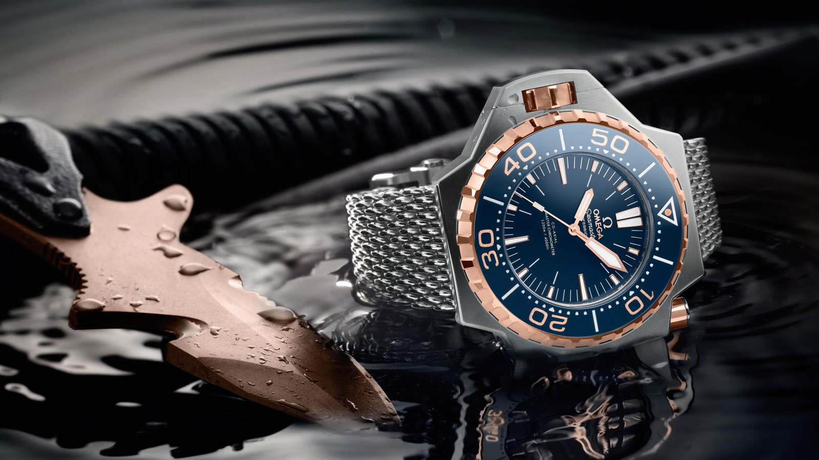 Omega Seamaster - View 2