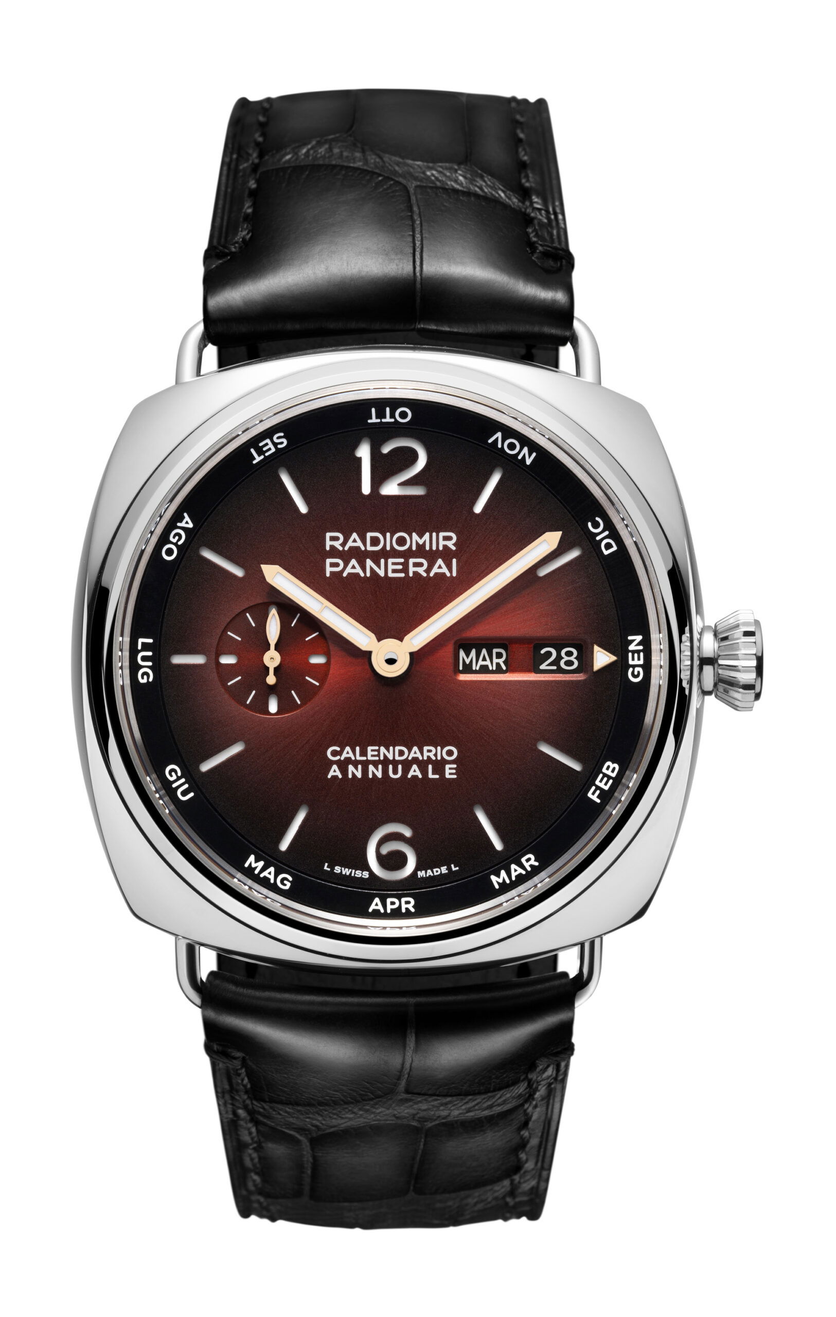 Panerai Radiomir Annual Calendar Platinumtech Experience watch