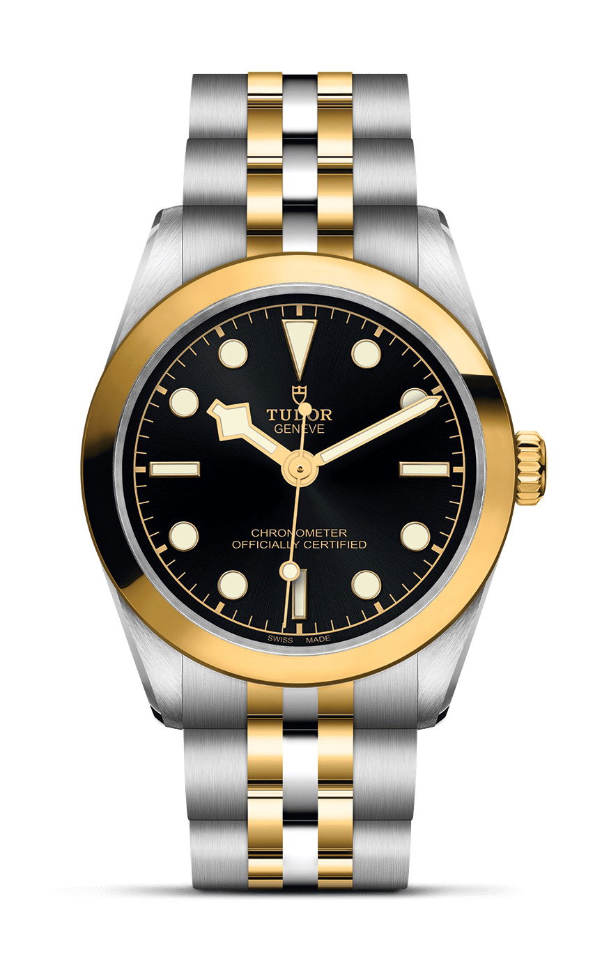 TUDOR Black Bay 31 S&G watch