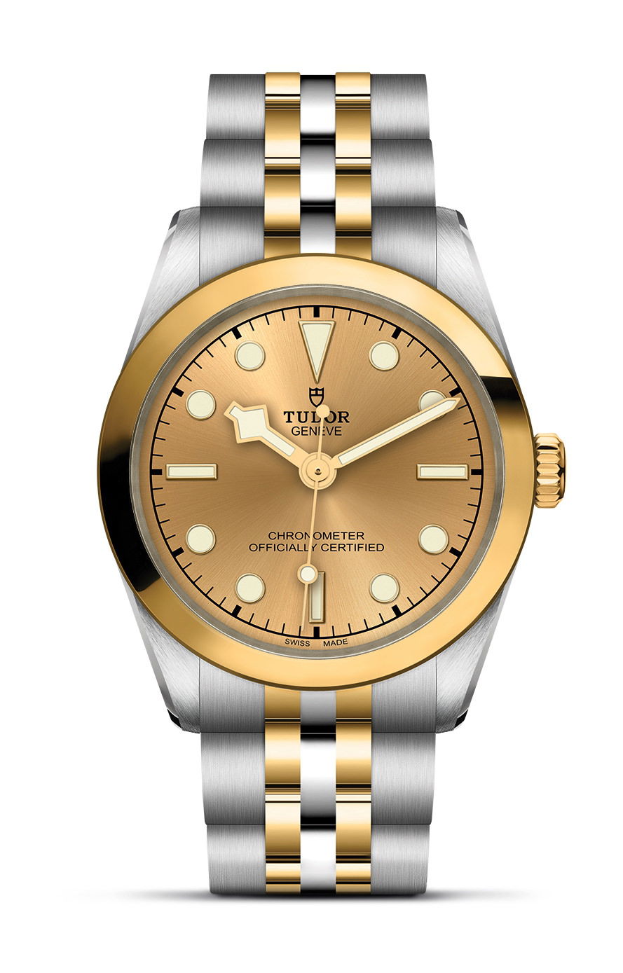 TUDOR Black Bay 31 S&G watch