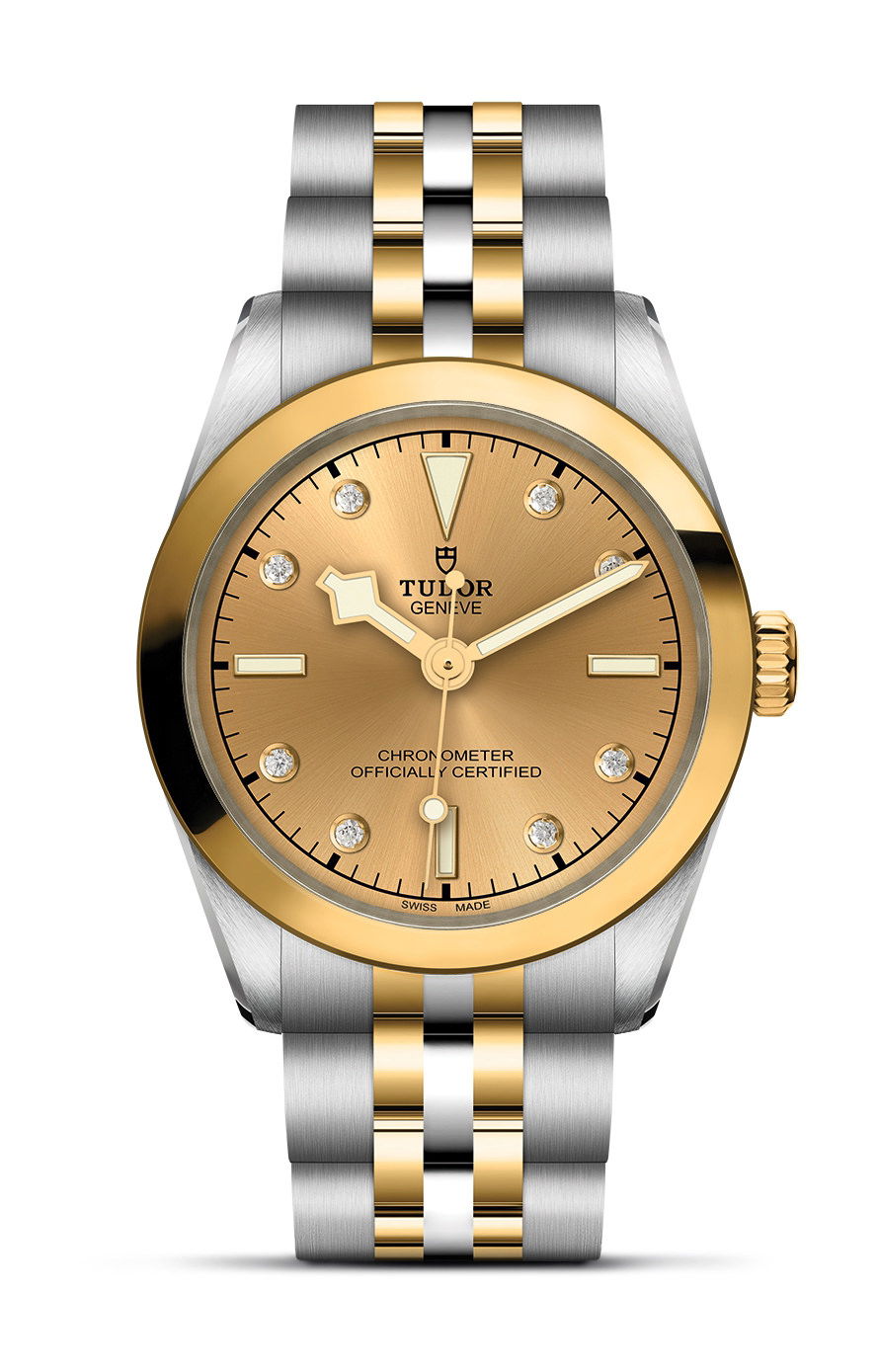 TUDOR Black Bay 31 S&G watch