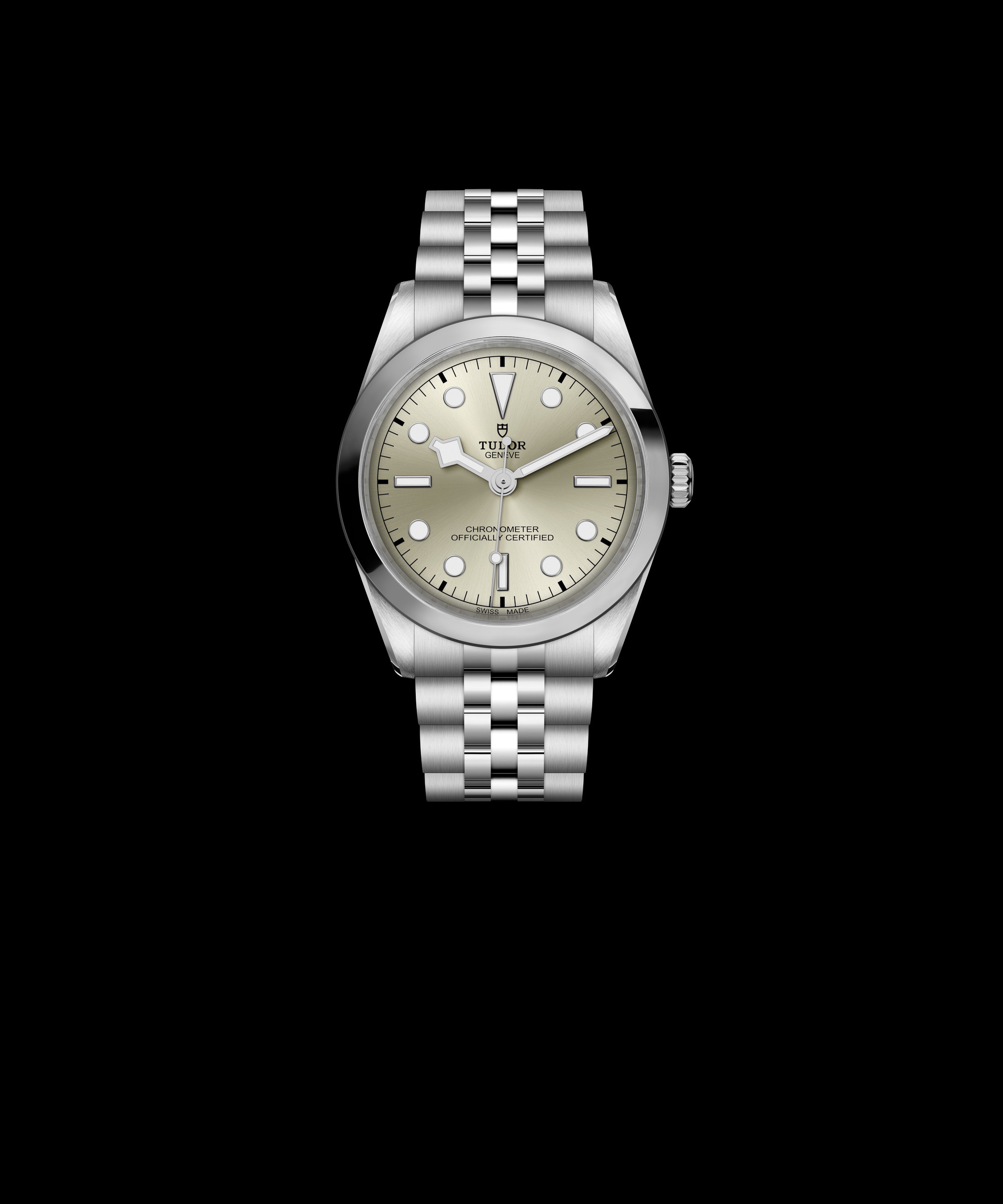 TUDOR Black Bay 36 - View 2