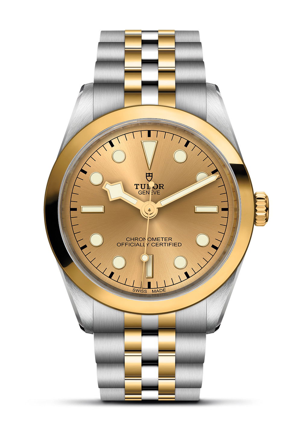 TUDOR Black Bay 36 S&G watch