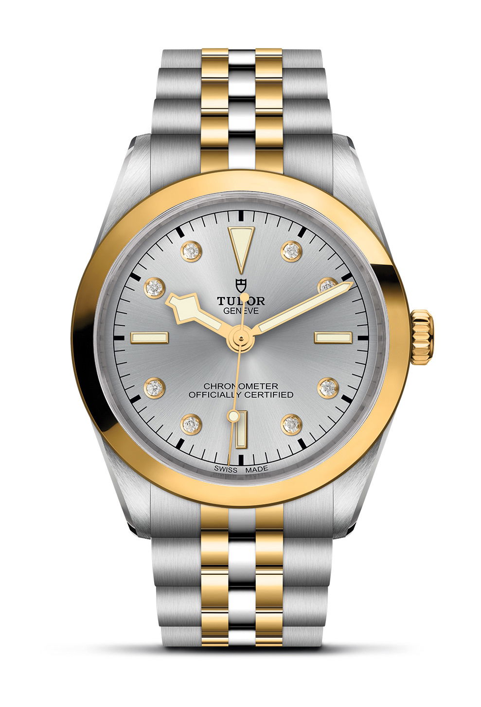 TUDOR Black Bay 36 S&G watch