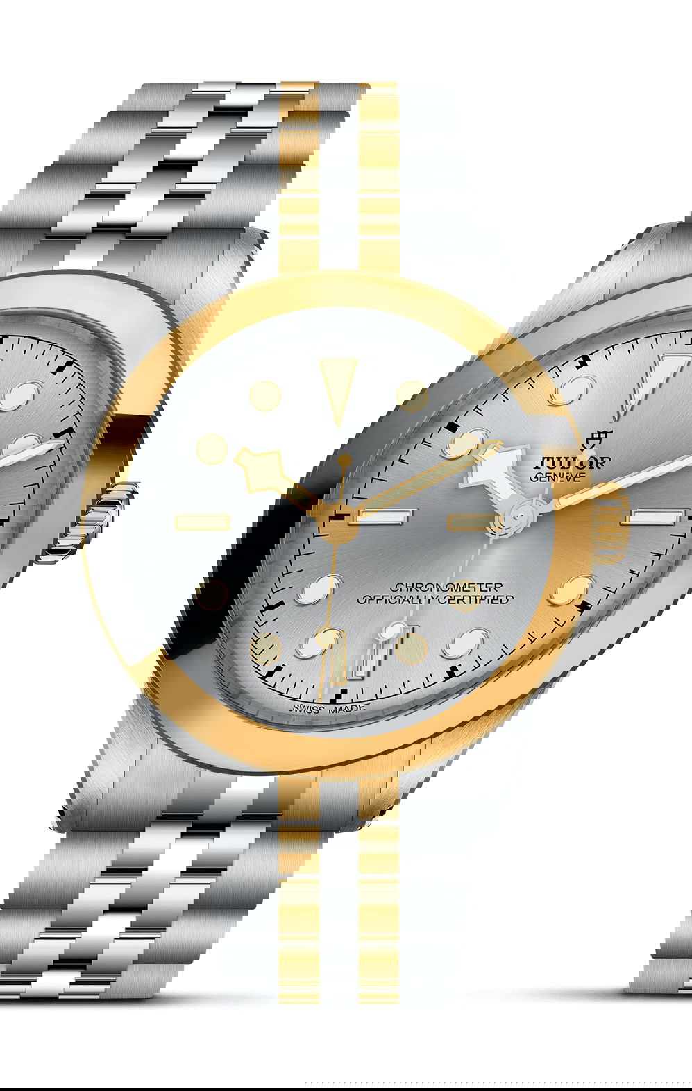 TUDOR Black Bay 39 S&G watch