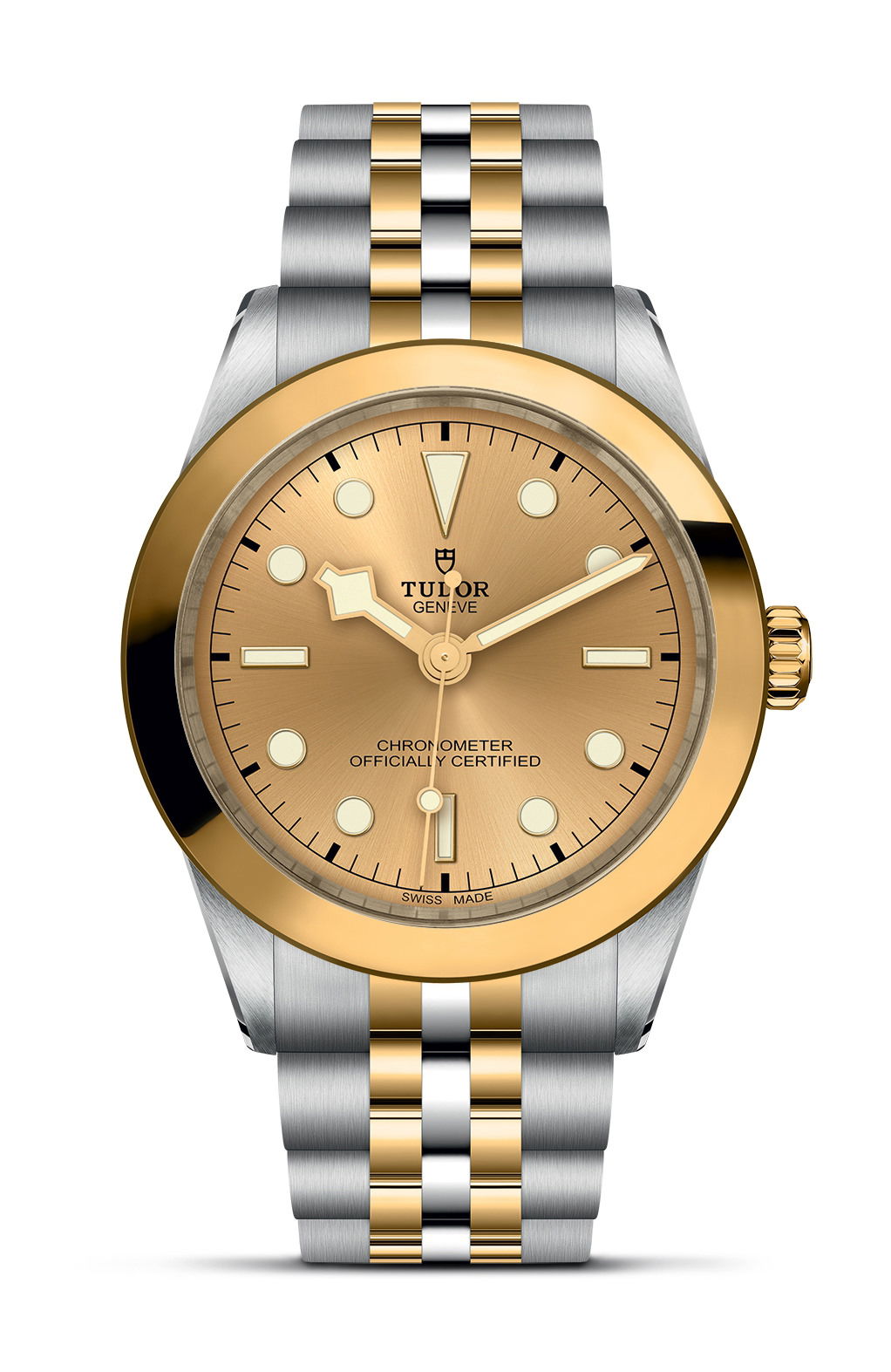 TUDOR Black Bay 39 S&G watch
