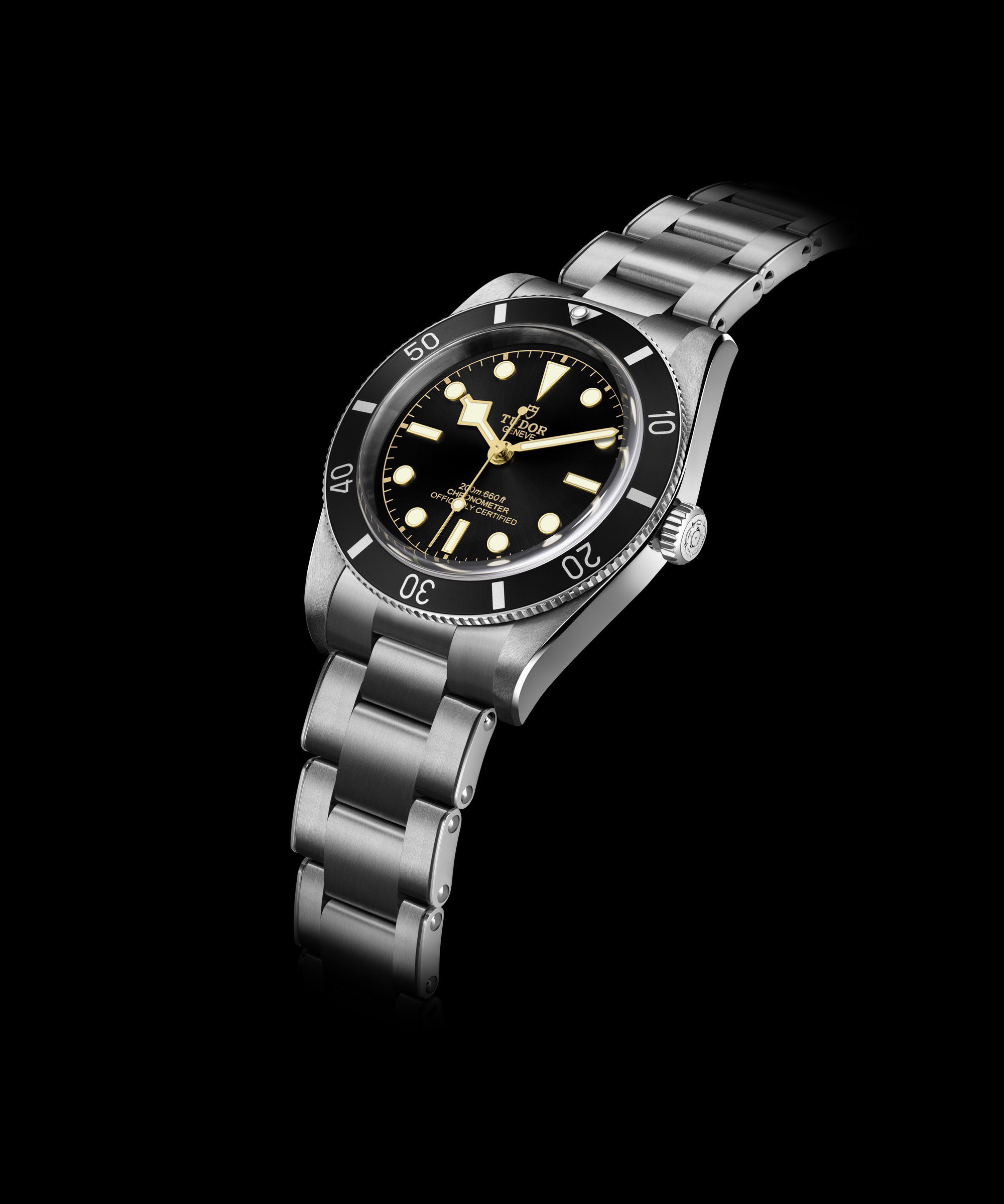 TUDOR Black Bay 54 - View 2