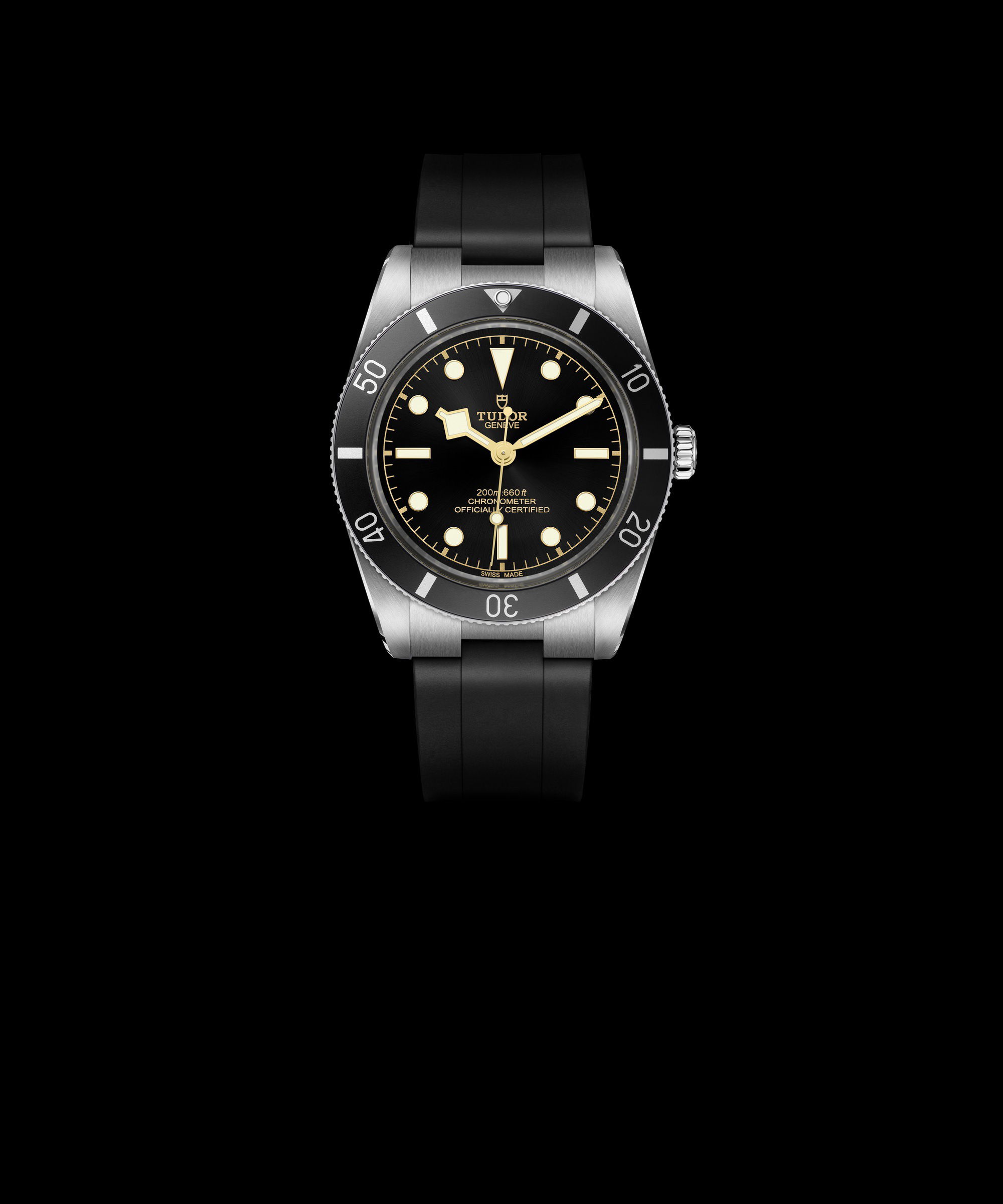 TUDOR Black Bay 54 - View 2