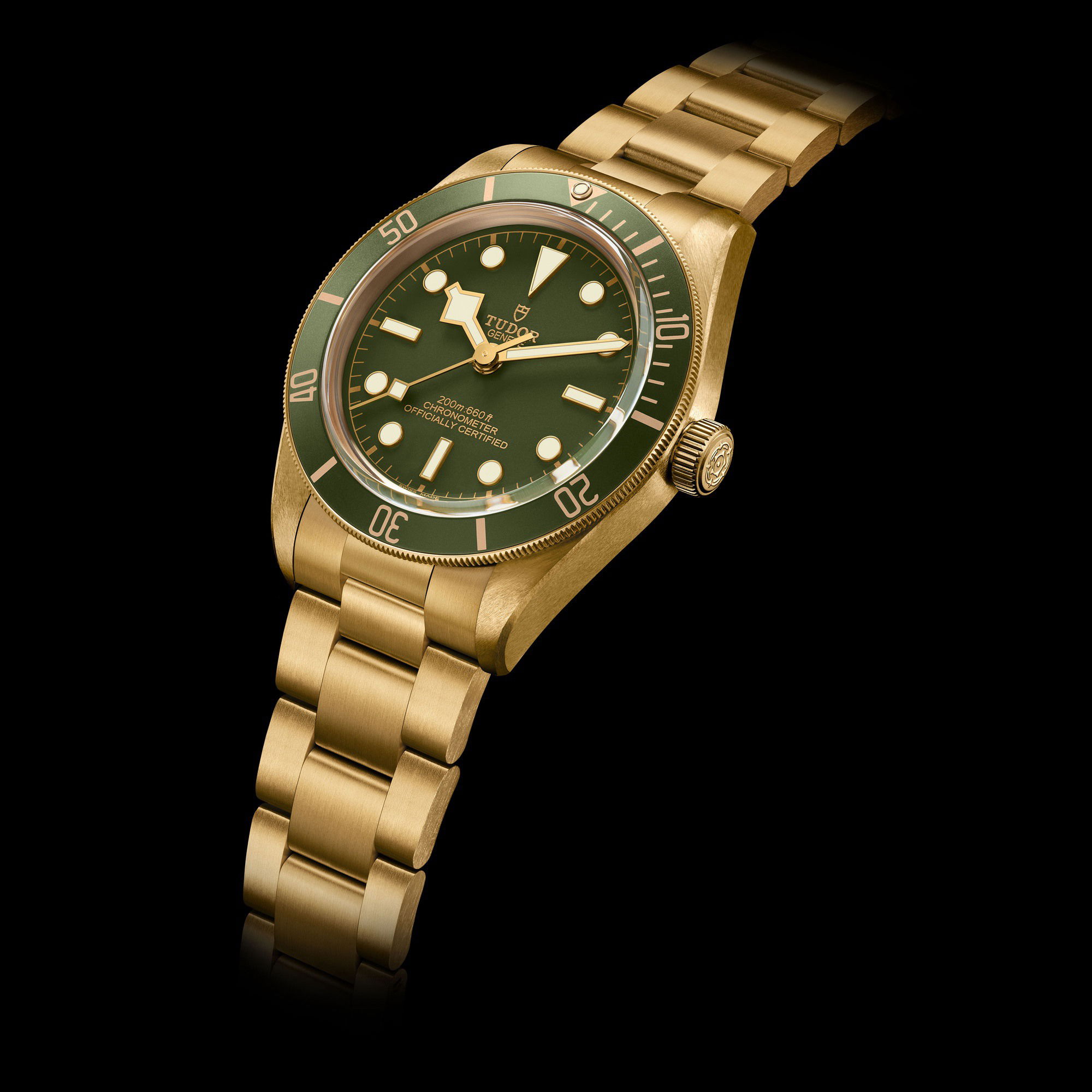TUDOR Black Bay 58 18K - View 2