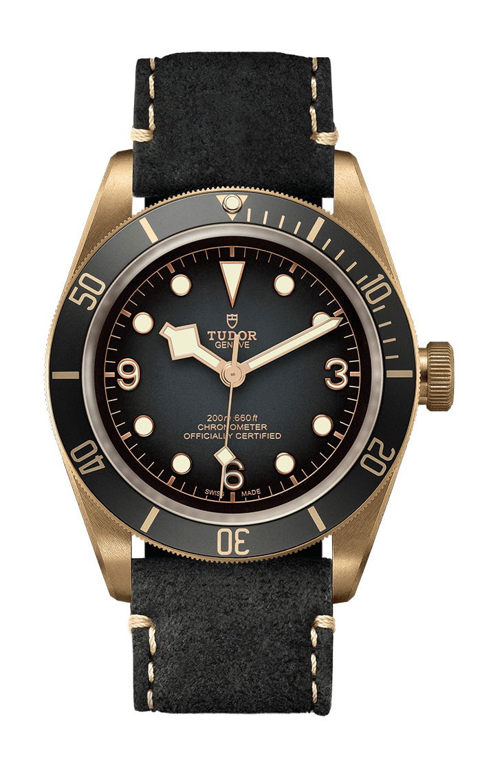 TUDOR Black Bay Bronze watch