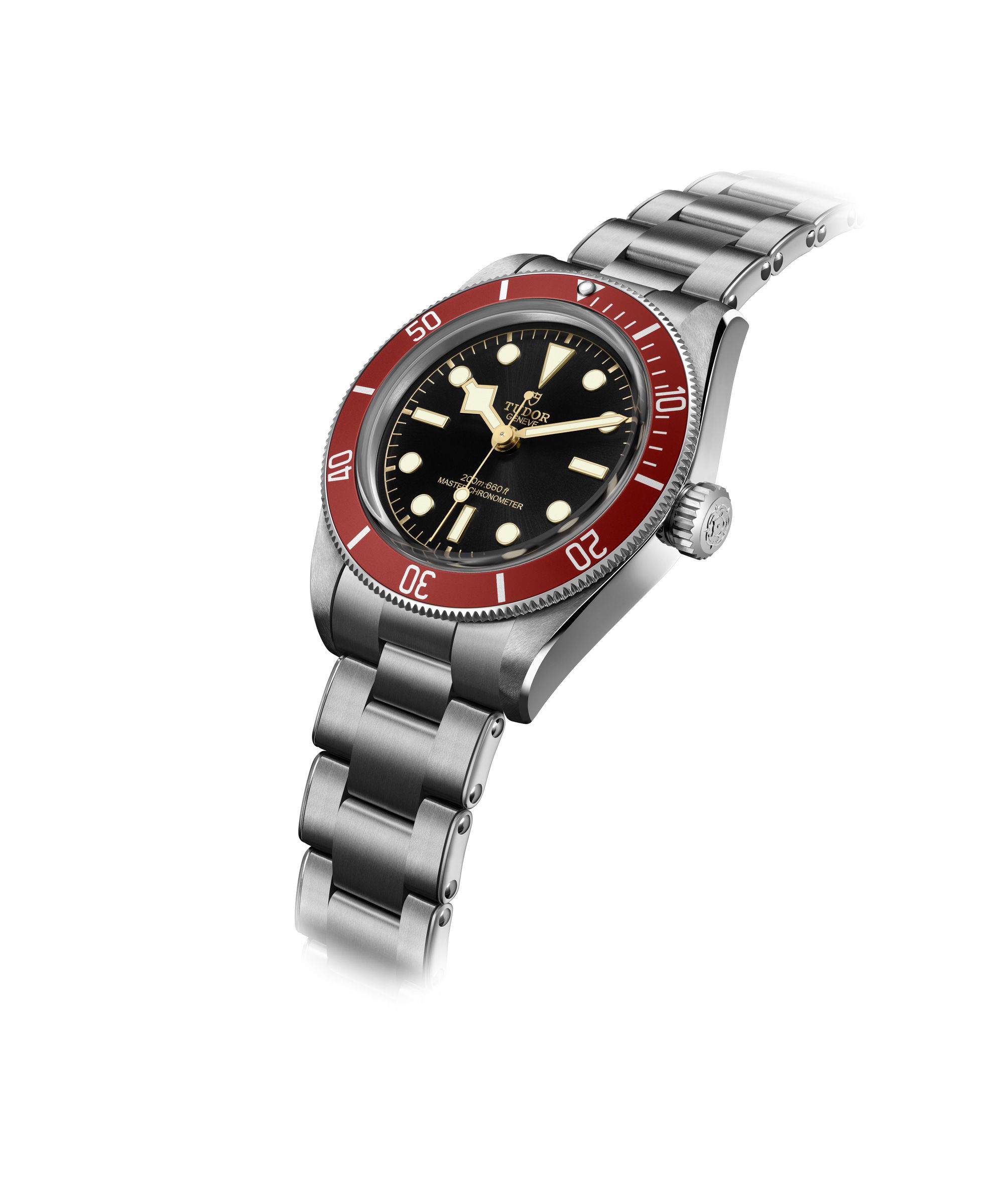 TUDOR Black Bay - View 2