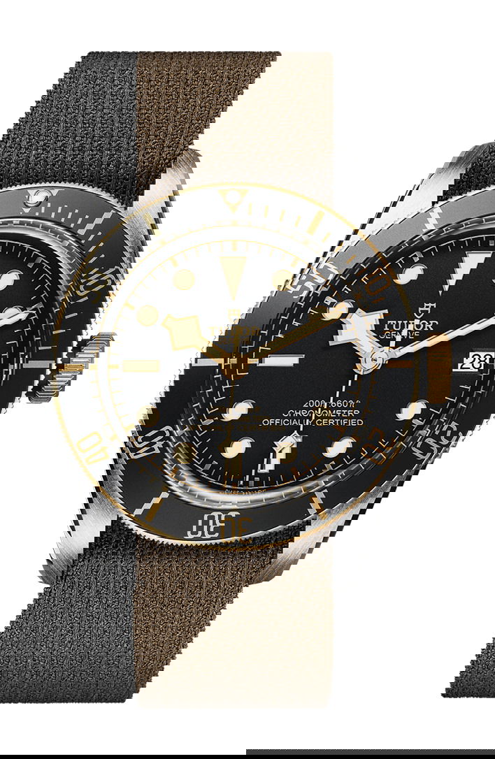 TUDOR Black Bay S&G watch