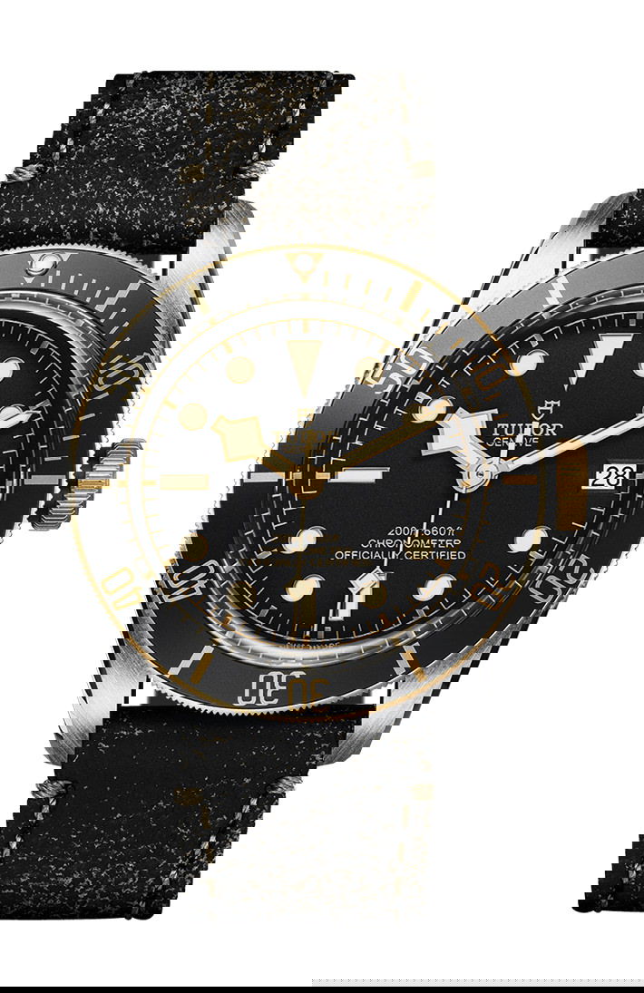 TUDOR Black Bay S&G watch